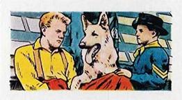 1960 Cadet Sweets Adventures of Rin Tin Tin #31 Danny is only survivor... Front