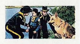 1960 Cadet Sweets Adventures of Rin Tin Tin #33 B' Company of the 101St Front