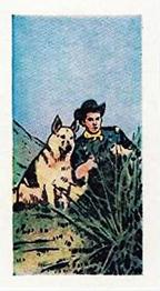 1960 Cadet Sweets Adventures of Rin Tin Tin #39 On Guard, Rinty and... Front