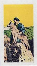 1960 Cadet Sweets Adventures of Rin Tin Tin #41 Snobbish Sidney Rogers... Front