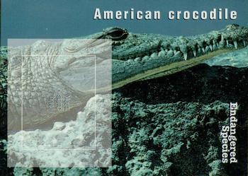 1996 USPS Endangered Species Souvenir Stamp Saver Cards #NNO American Crocodile Front