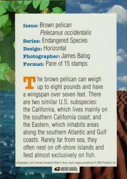 1996 USPS Endangered Species Souvenir Stamp Saver Cards #NNO Brown Pelican Back