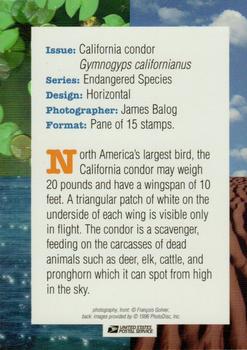 1996 USPS Endangered Species Souvenir Stamp Saver Cards #NNO California Condor Back