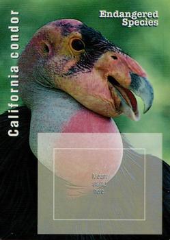 1996 USPS Endangered Species Souvenir Stamp Saver Cards #NNO California Condor Front
