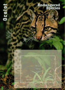 1996 USPS Endangered Species Souvenir Stamp Saver Cards #NNO Ocelot Front