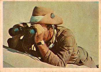 1966 O-Pee-Chee Rat Patrol #39 Sgt. Troy took out his binoculars. Front