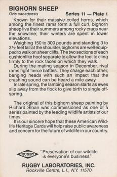 1991 Rugby Laboratories American Heritage Wildlife Series 11 #1 Bighorn Sheep Back
