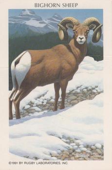 1991 Rugby Laboratories American Heritage Wildlife Series 11 #1 Bighorn Sheep Front