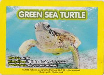 2018 McDonald's National Geographic Kids #NNO Green Sea Turtle Front