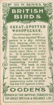 1905 Ogden's British Birds #4 Great-Spotted Woodpecker Back