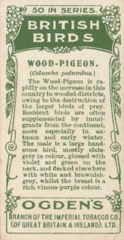 1905 Ogden's British Birds #5 Wood-Pigeon Back