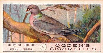 1905 Ogden's British Birds #5 Wood-Pigeon Front