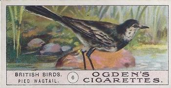 1905 Ogden's British Birds #6 Pied Wagtail Front
