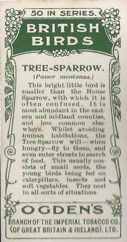 1905 Ogden's British Birds #9 Tree-Sparrow Back