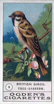 1905 Ogden's British Birds #9 Tree-Sparrow Front