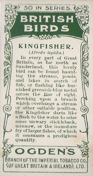 1905 Ogden's British Birds #11 Kingfisher Back