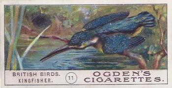 1905 Ogden's British Birds #11 Kingfisher Front