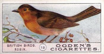 1905 Ogden's British Birds #13 Robin Front