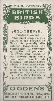 1905 Ogden's British Birds #15 Song-Thrush Back