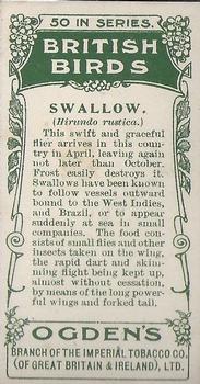 1905 Ogden's British Birds #17 Swallow Back
