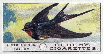 1905 Ogden's British Birds #17 Swallow Front