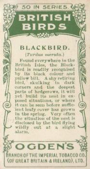 1905 Ogden's British Birds #18 Blackbird Back