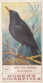 1905 Ogden's British Birds #18 Blackbird Front