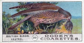 1905 Ogden's British Birds #20 Kestrel-Hawk Front