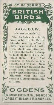 1905 Ogden's British Birds #21 Jackdaw Back