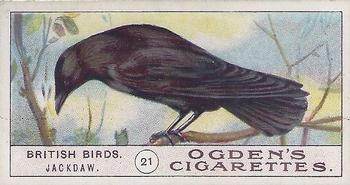 1905 Ogden's British Birds #21 Jackdaw Front
