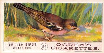 1905 Ogden's British Birds #24 Chaffinch Front