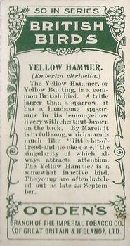 1905 Ogden's British Birds #27 Yellow Hammer Back