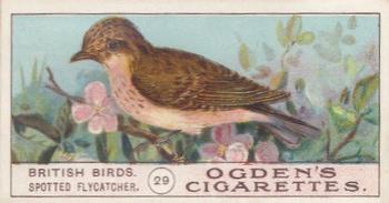 1905 Ogden's British Birds #29 Spotted Flycatcher Front