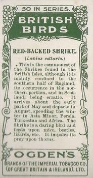 1905 Ogden's British Birds #31 Red-Backed Shrike Back