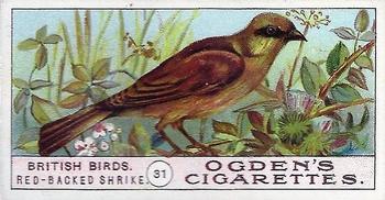 1905 Ogden's British Birds #31 Red-Backed Shrike Front