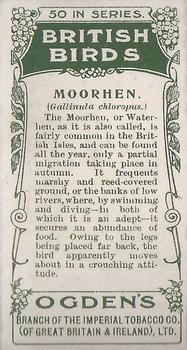 1905 Ogden's British Birds #32 Moorhen Back