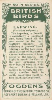 1905 Ogden's British Birds #34 Lapwing Back