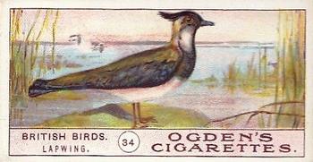 1905 Ogden's British Birds #34 Lapwing Front