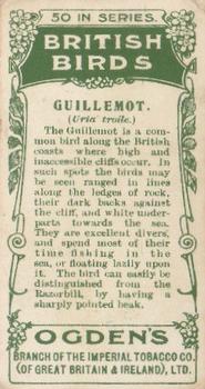 1905 Ogden's British Birds #35 Guillemot Back