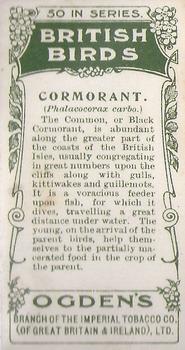 1905 Ogden's British Birds #36 Cormorant Back
