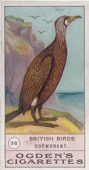 1905 Ogden's British Birds #36 Cormorant Front
