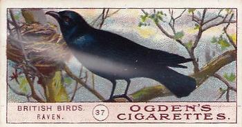 1905 Ogden's British Birds #37 Raven Front