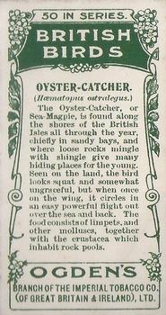 1905 Ogden's British Birds #39 Oyster-Catcher Back