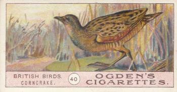 1905 Ogden's British Birds #40 Corncrake Front