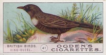 1905 Ogden's British Birds #41 Ring-Ouzel Front