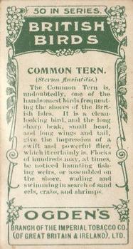 1905 Ogden's British Birds #46 Common Tern Back