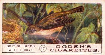 1905 Ogden's British Birds #47 White-Throat Front