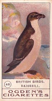 1905 Ogden's British Birds #48 Razorbill Front