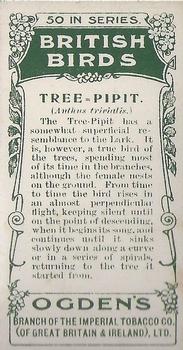 1905 Ogden's British Birds #49 Tree-Pipit Back