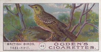 1905 Ogden's British Birds #49 Tree-Pipit Front